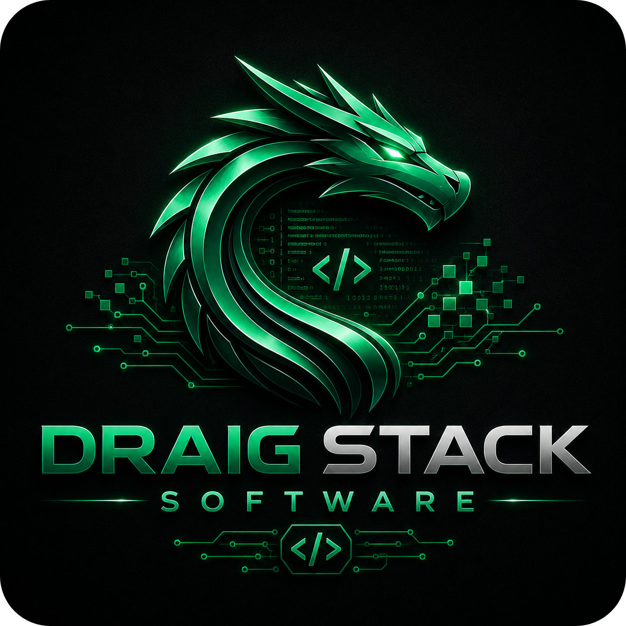 Draig Stack Software logo